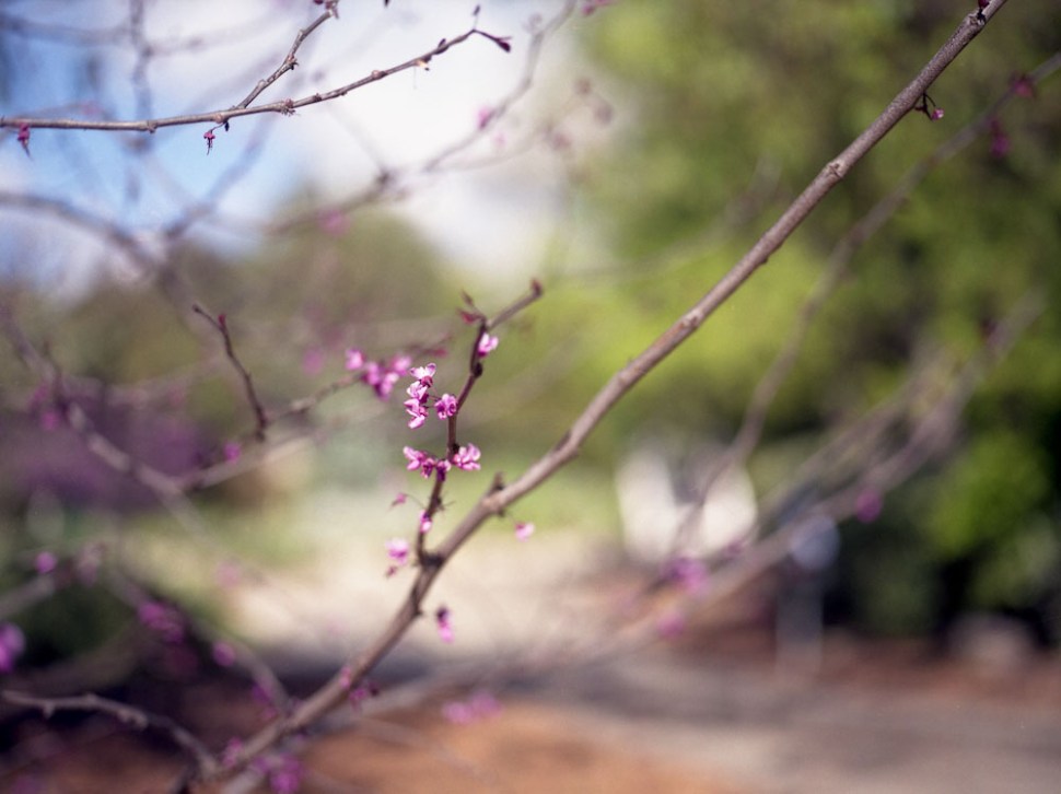 stacikennelly_losangeles_april_10