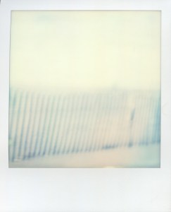 polaroids-4