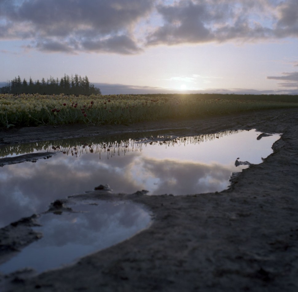 Hasselblad500CMFuji400H